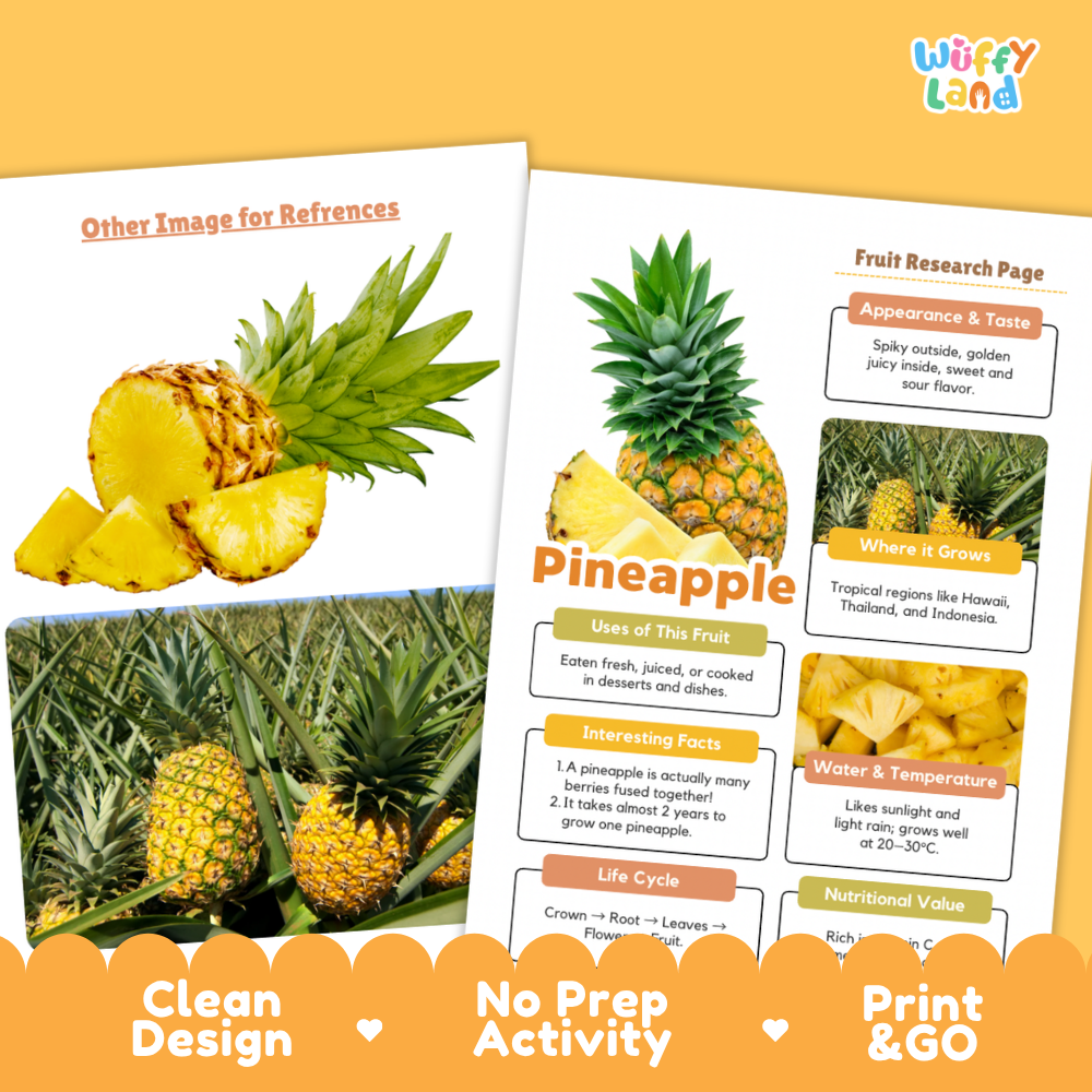 Two educational activity sheets about pineapple displayed on a warm orange background. The left sheet shows a large photo of pineapple slices and whole fruit, and the right sheet is a labeled fruit research page with photos of pineapple in its grower's environment.