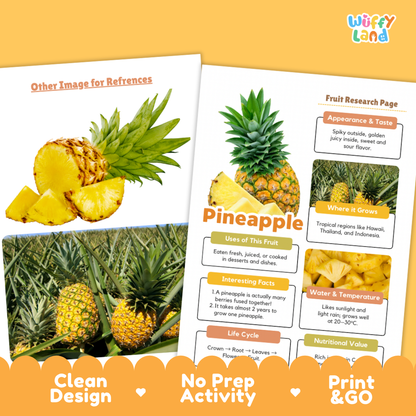Two educational activity sheets about pineapple displayed on a warm orange background. The left sheet shows a large photo of pineapple slices and whole fruit, and the right sheet is a labeled fruit research page with photos of pineapple in its grower's environment.