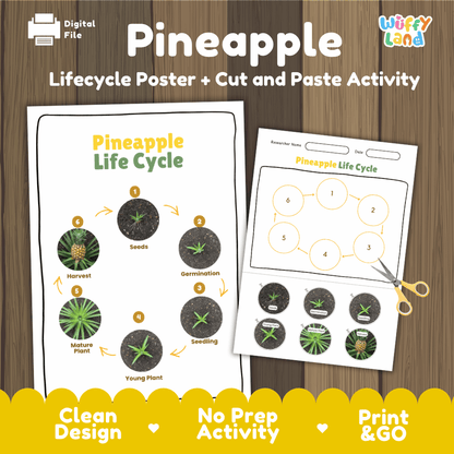 Pineapple Lifecycle Poster and Cut and Paste Activity Worksheets | Plant Science Printables