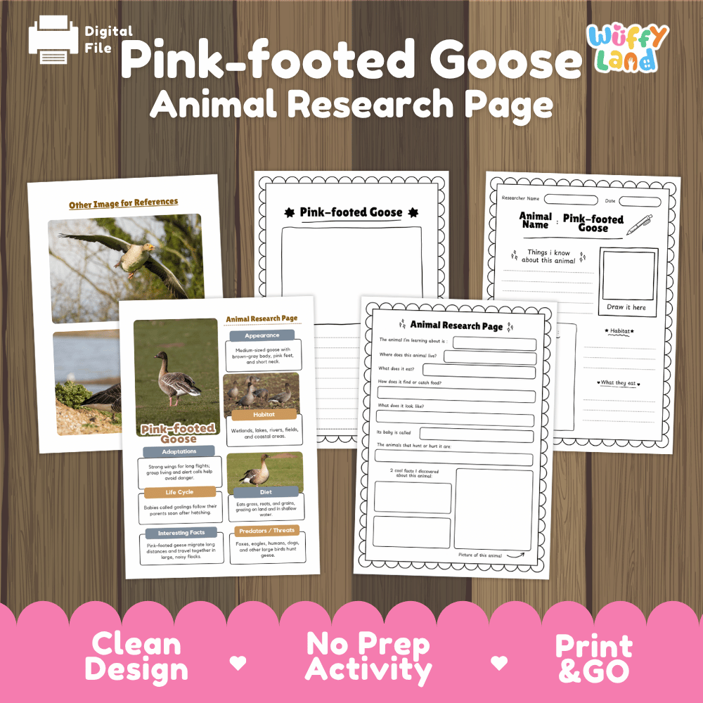 Pink-footed Goose Animal Research Worksheets and Informational Fact Sheets