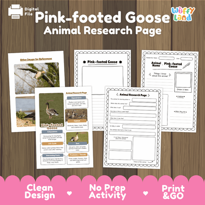 Pink-footed Goose Animal Research Worksheets and Informational Fact Sheets