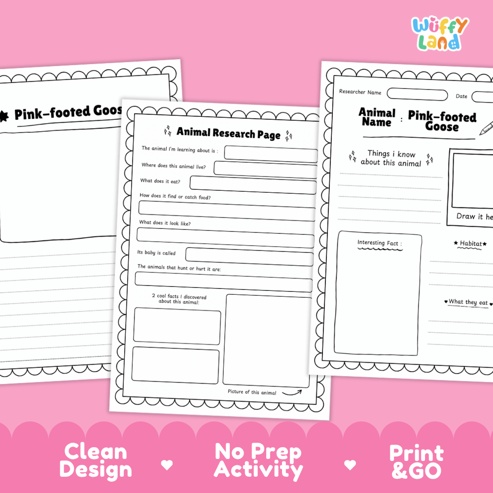 Pink-footed Goose Animal Research Worksheets and Informational Fact Sheets
