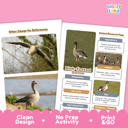 Pink-footed Goose Animal Research Worksheets and Informational Fact Sheets