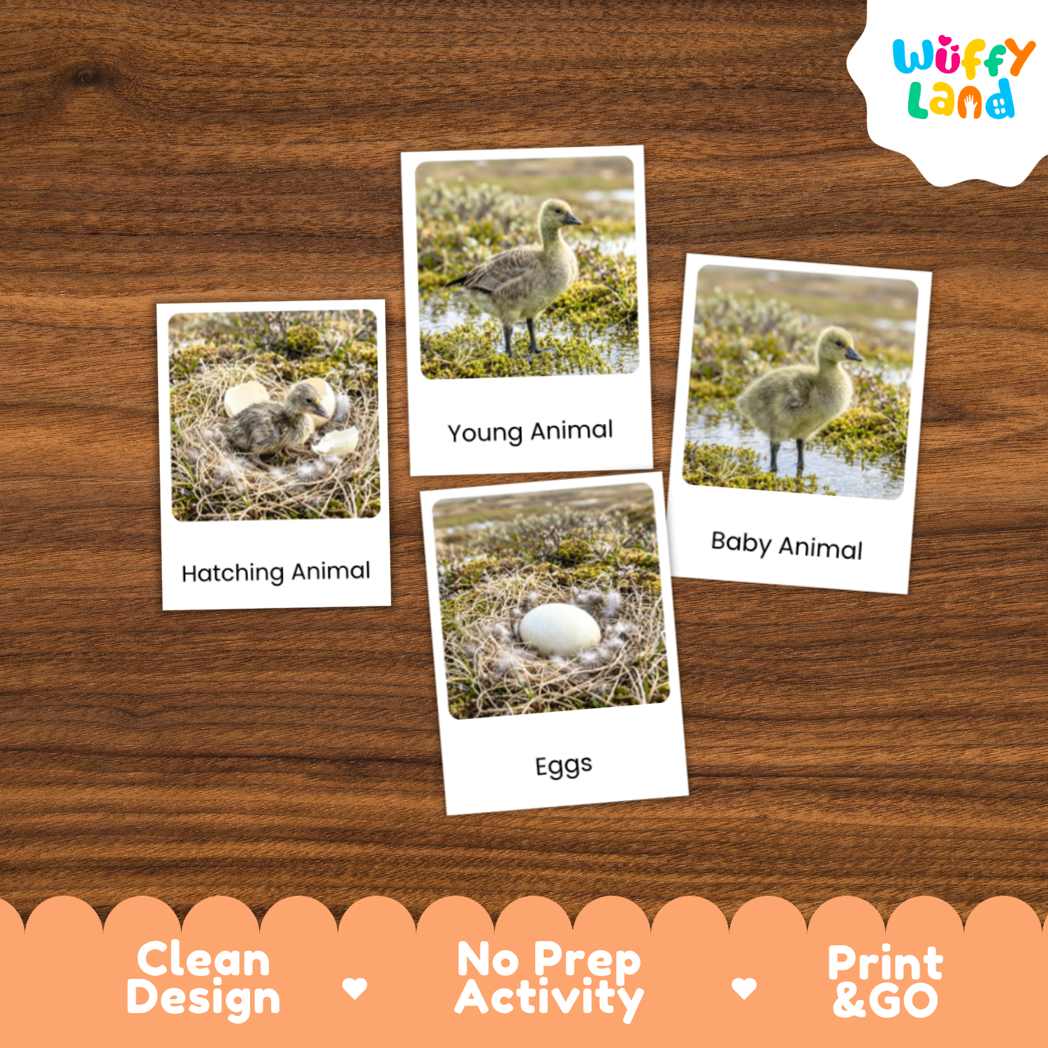 Four educational animal activity cards showing young animals, eggs, and labels, arranged on a brown wood background with a 'Wuffy Land' logo in the top right and promotional text along the bottom.