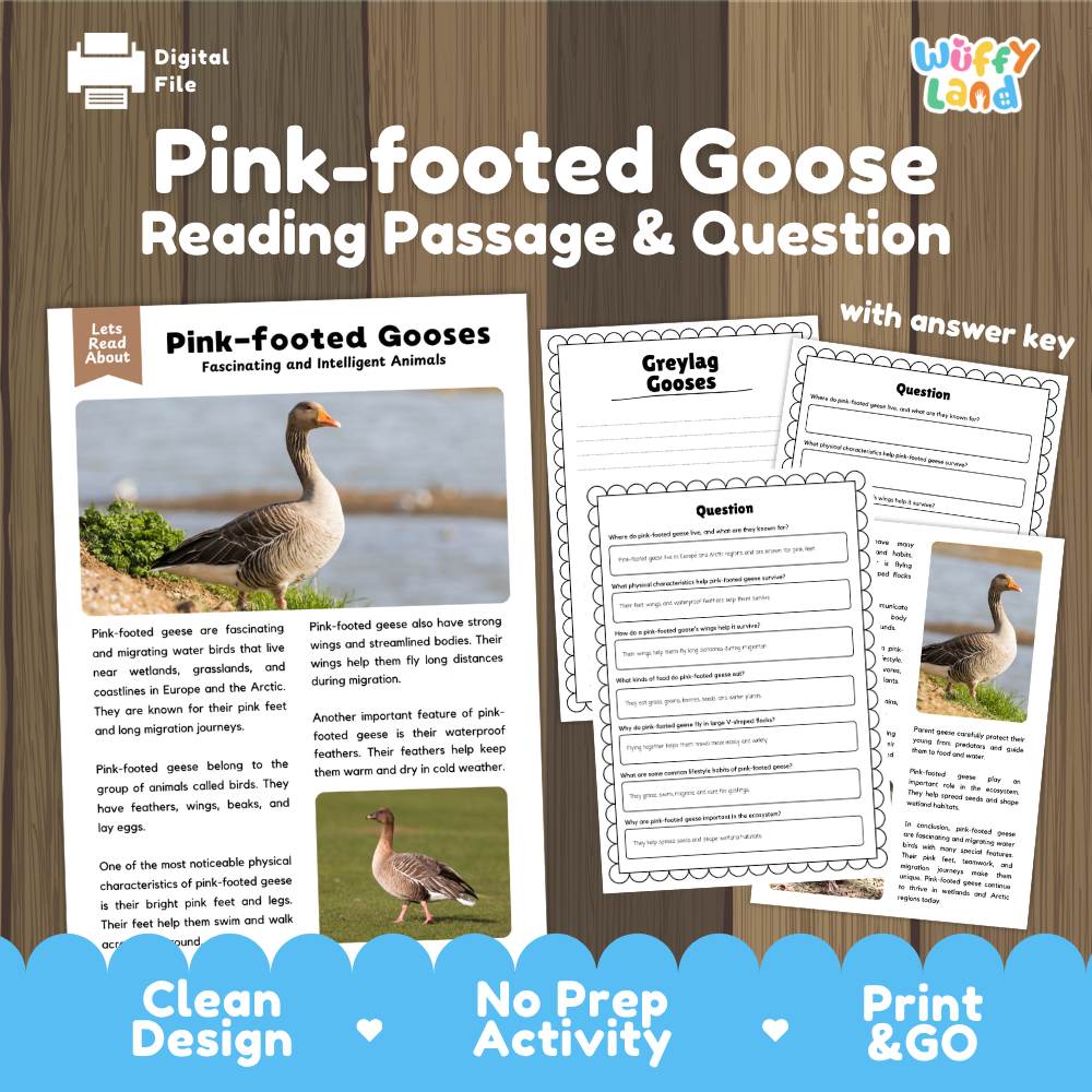 Pink-footed Goose Reading Passage and Comprehension Questions Worksheets with Answer Key