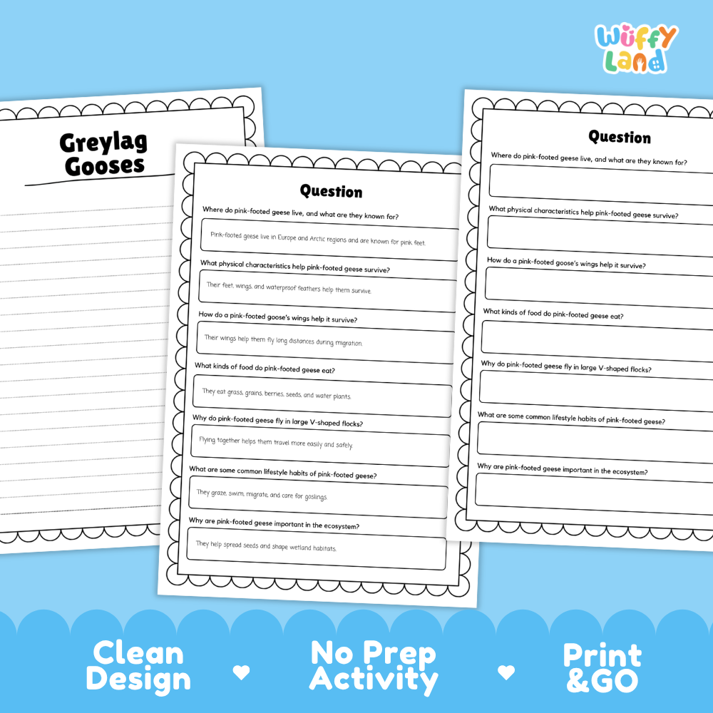 Pink-footed Goose Reading Passage and Comprehension Questions Worksheets with Answer Key