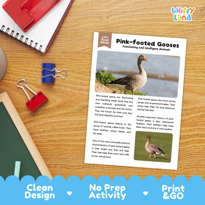 Pink-footed Goose Reading Passage and Comprehension Questions Worksheets with Answer Key