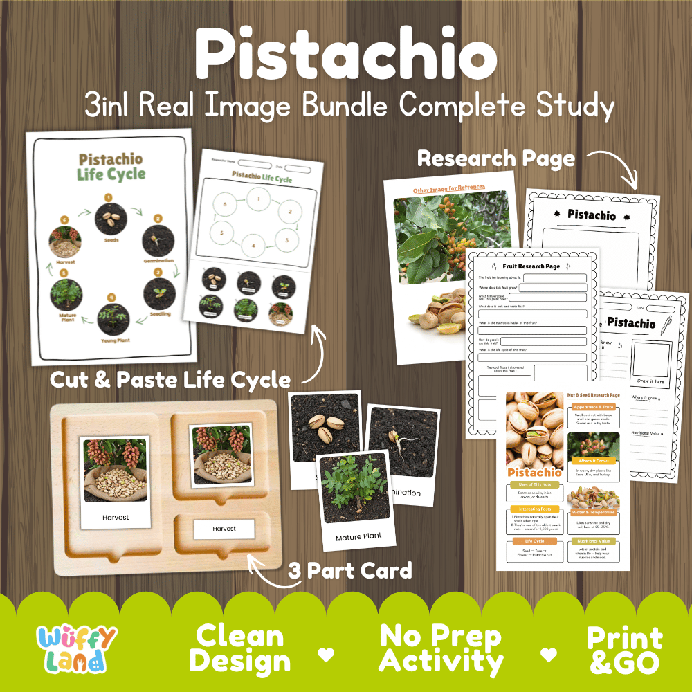 Complete Pistachio 3-in-1 real image study bundle featuring cut and paste worksheets, Montessori 3-part cards, and research pages 🌰🌱
