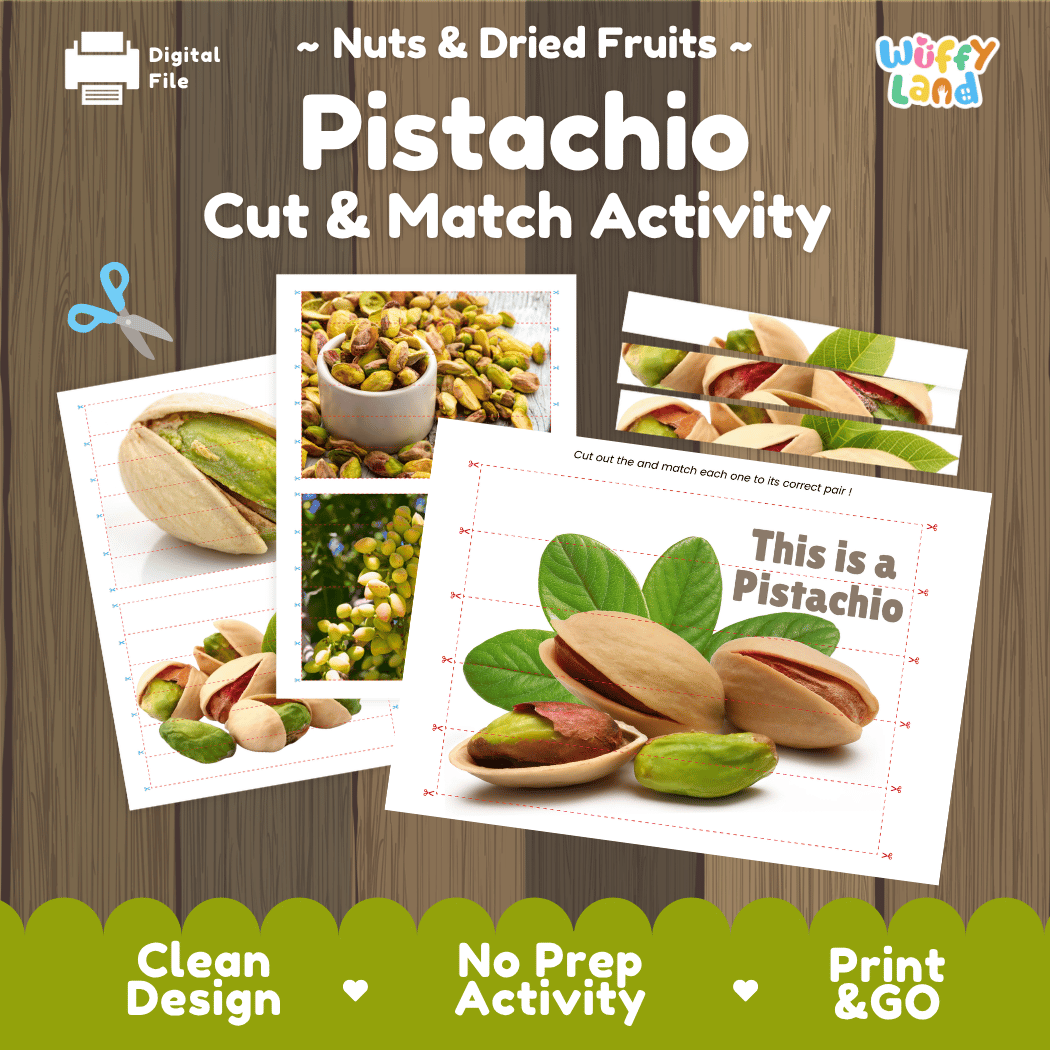 Pistachio Cut and Match Activity Worksheets | Nuts and Dried Fruits Puzzle Printables