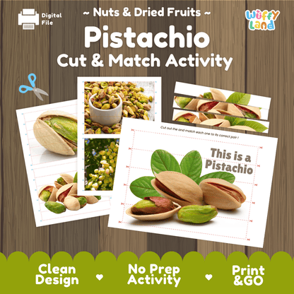 Pistachio Cut and Match Activity Worksheets | Nuts and Dried Fruits Puzzle Printables