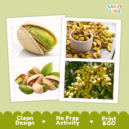 Pistachio Cut and Match Activity Worksheets | Nuts and Dried Fruits Puzzle Printables