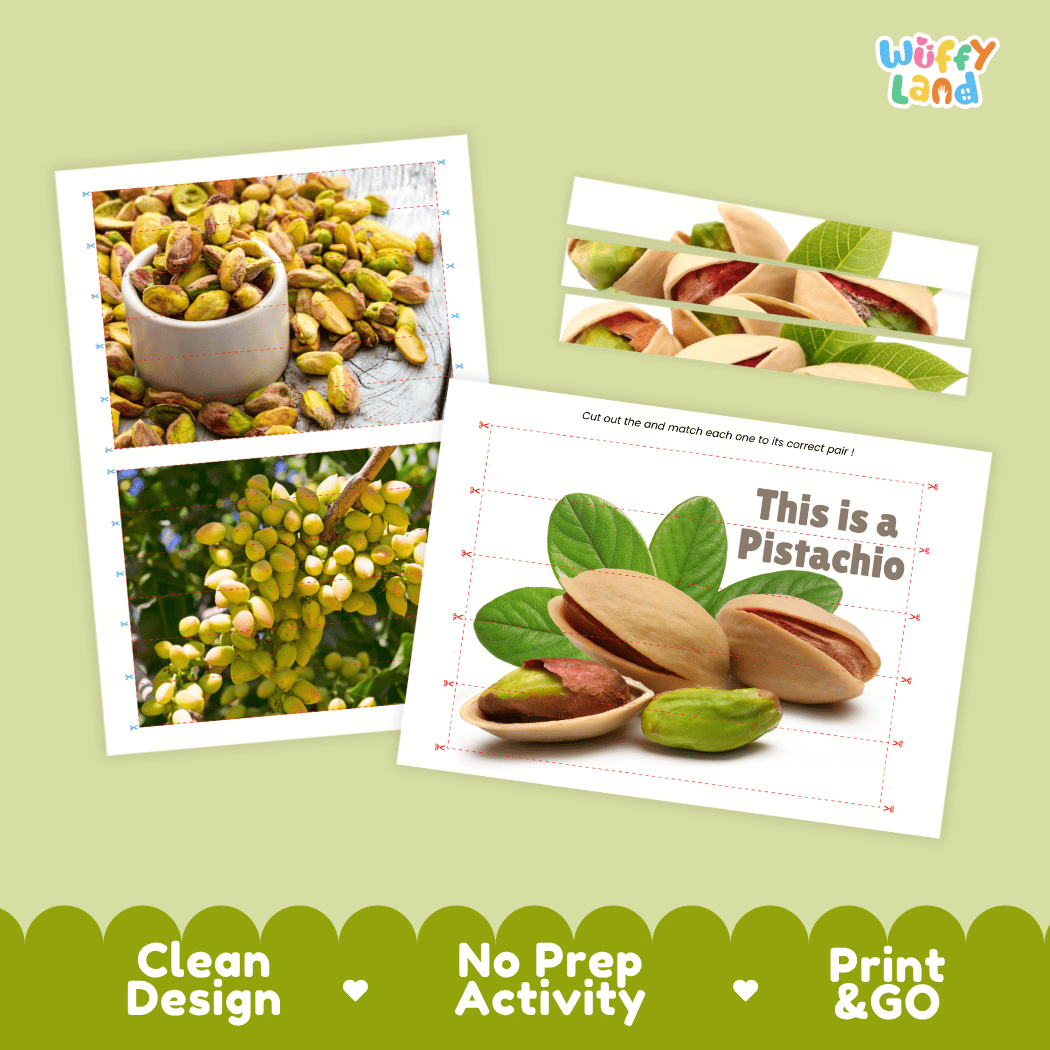 Pistachio Cut and Match Activity Worksheets | Nuts and Dried Fruits Puzzle Printables
