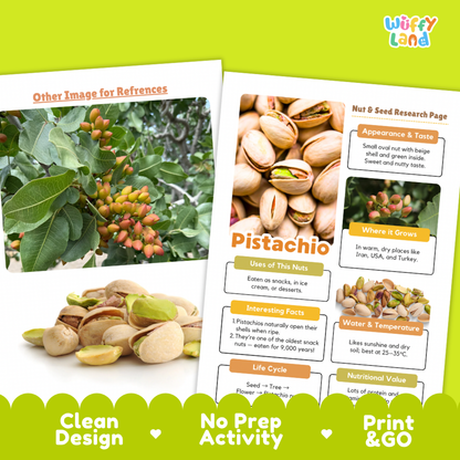 Pistachio Nut and Seed Research Page Worksheets Plant Science Activity
