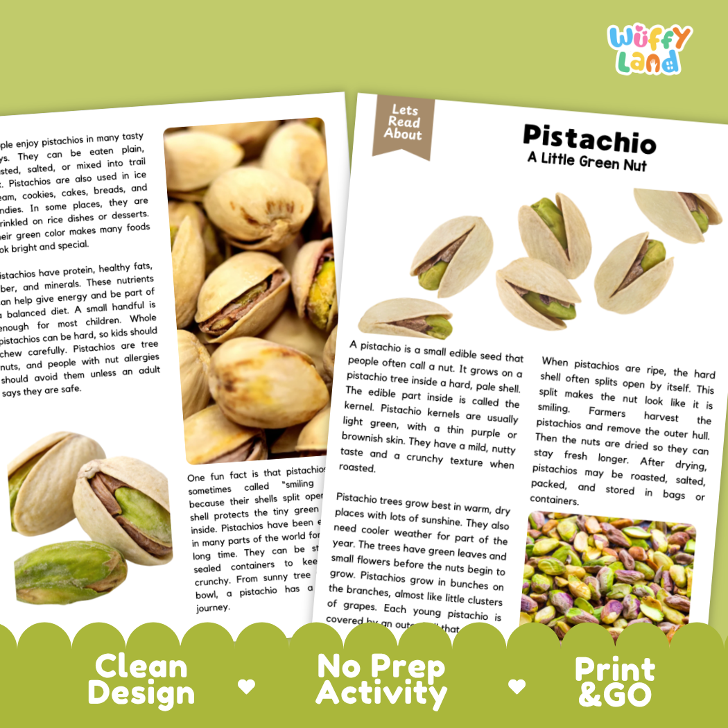 Pistachio Reading Passage and Comprehension Questions with Answer Key Worksheets