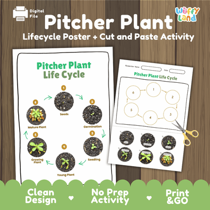 Pitcher Plant Lifecycle Poster and Cut and Paste Activity Worksheets | Plant Science Printables
