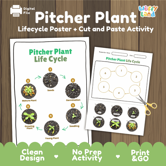 Printable cut and paste pitcher plant life cycle worksheet with real photo cutouts from seeds to mature pitcher plant