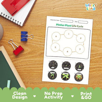 Pitcher Plant Lifecycle Poster and Cut and Paste Activity Worksheets | Plant Science Printables