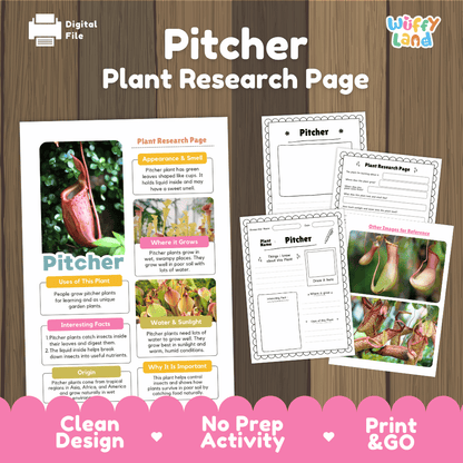 Pitcher Plant Research Page Worksheets and Fact Sheet Activity