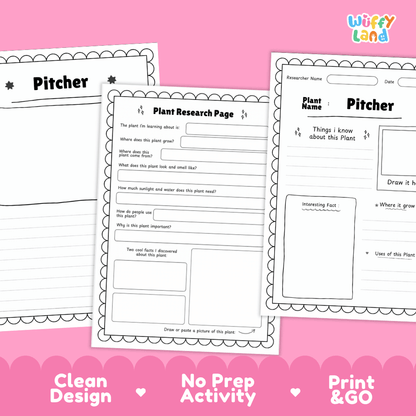 Pitcher Plant Research Page Worksheets and Fact Sheet Activity