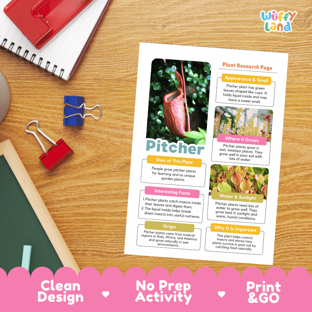 Pitcher Plant Research Page Worksheets and Fact Sheet Activity