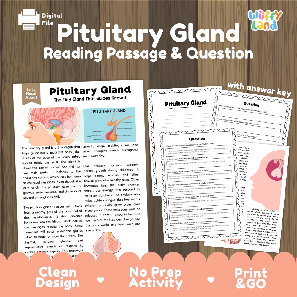 Pituitary gland reading comprehension passage and questions printable activity pack with answer key for elementary students