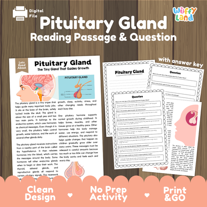 Pituitary gland reading comprehension passage and questions printable activity pack with answer key for elementary students