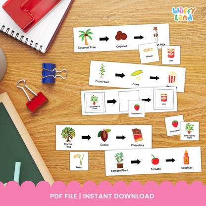 A set of plant-to-product sequencing cards showing how different foods are made. Each strip displays a plant followed by arrows pointing to its product: coconut tree to coconut to coconut milk; corn plant to corn to popcorn; strawberry plant to strawberry to jam; tomato plant to tomato to ketchup; cocoa tree to cocoa to chocolate. Small matching picture cards of wheat, jam, strawberry plant, strawberry, and paddy are also included