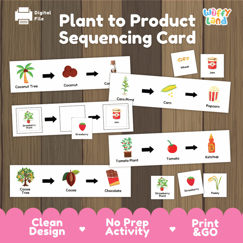 Plant to product sequencing cards printable farm to table activity pack overview from Wuffy Land featuring plant-to-food sorting strips 🌾🍫