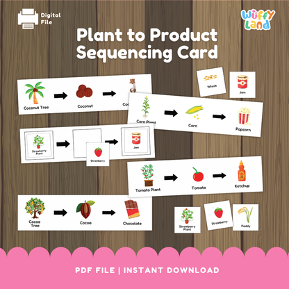 A set of plant-to-product sequencing cards showing how different foods are made. Each strip displays a plant followed by arrows pointing to its product: coconut tree to coconut to coconut milk; corn plant to corn to popcorn; strawberry plant to strawberry to jam; tomato plant to tomato to ketchup; cocoa tree to cocoa to chocolate. Small matching picture cards of wheat, jam, strawberry plant, strawberry, and paddy are also included