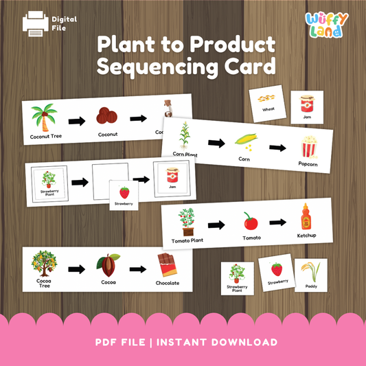A set of plant-to-product sequencing cards showing how different foods are made. Each strip displays a plant followed by arrows pointing to its product: coconut tree to coconut to coconut milk; corn plant to corn to popcorn; strawberry plant to strawberry to jam; tomato plant to tomato to ketchup; cocoa tree to cocoa to chocolate. Small matching picture cards of wheat, jam, strawberry plant, strawberry, and paddy are also included