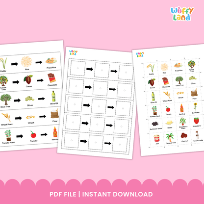 A set of plant-to-product sequencing cards showing how different foods are made. Each strip displays a plant followed by arrows pointing to its product: coconut tree to coconut to coconut milk; corn plant to corn to popcorn; strawberry plant to strawberry to jam; tomato plant to tomato to ketchup; cocoa tree to cocoa to chocolate. Small matching picture cards of wheat, jam, strawberry plant, strawberry, and paddy are also included