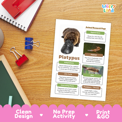Platypus Animal Research Page Worksheets