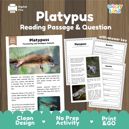 Platypus Reading Passage and Comprehension Questions Worksheets