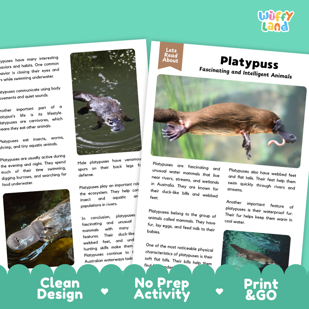 A children's educational activity sheet titled 'Platypuss' from the brand 'Wiffly Land'. The sheet features a colorful layout with text, a main photograph of a wetland platypus, smaller inset photos, and a green 'Let's Read About' banner at the top.
