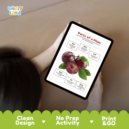 Educational cut and paste plum fruit anatomy worksheet with printable word cutout tiles for skin, stem, leaf, flesh, pit, and juice