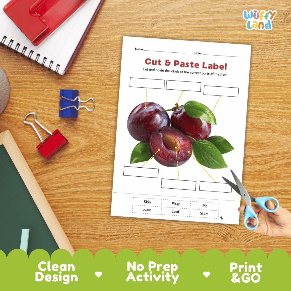 Printable plant biology worksheet showing sliced and whole purple plums with blank labeling boxes and a vocabulary word bank for writing practice