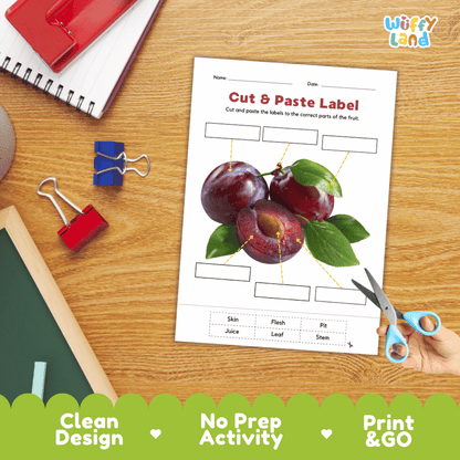 Printable plant biology worksheet showing sliced and whole purple plums with blank labeling boxes and a vocabulary word bank for writing practice