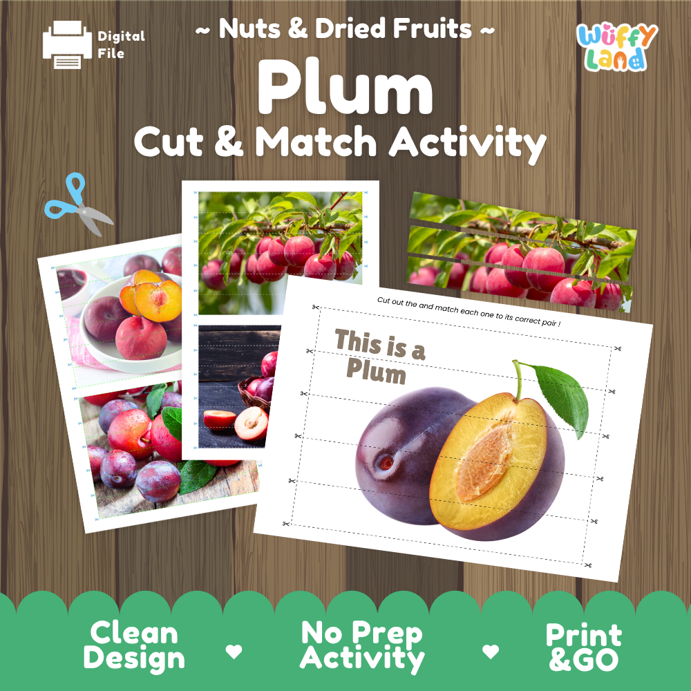 Plum cut and match activity cover showing printable fine motor puzzle sheets and fruit photographs