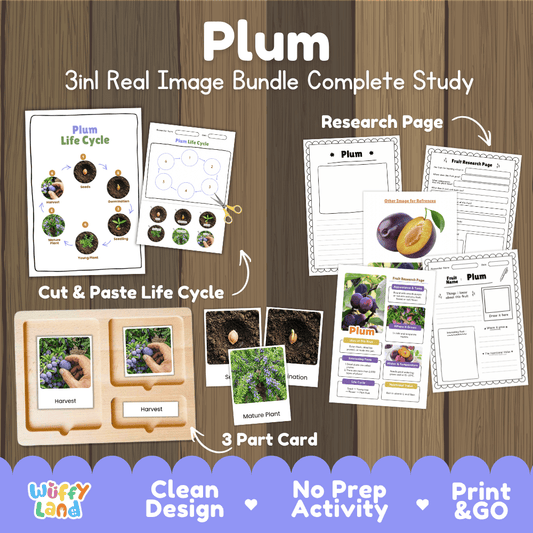 Plum tree life cycle 3in1 real image bundle complete study overview featuring cut and paste worksheets, Montessori 3-part cards, and research pages from Wuffy Land 🟣🌱