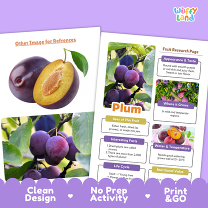 Two educational activity sheets about plums displayed on a purple background. The left sheet shows a large photo of plums, including a whole plum and a sliced plum with a green leaf.
