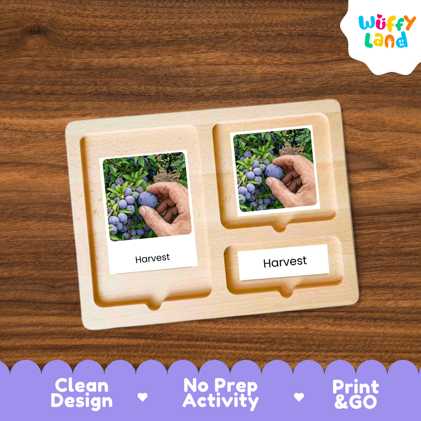 Plum Life Cycle Flashcards | Montessori 3 Part Cards Science Activity