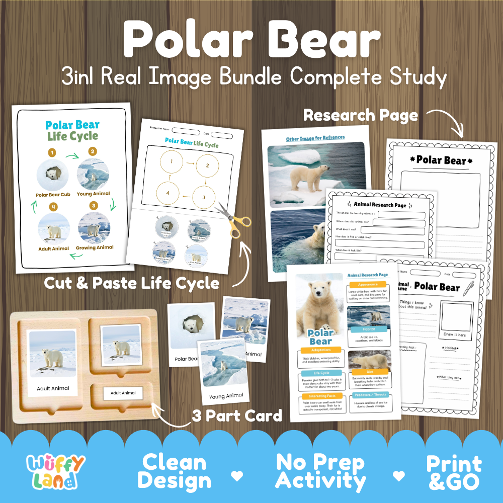 Polar Bear 3-in-1 real image bundle complete study cover showing cut and paste life cycle, 3 part cards, and research pages
