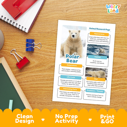 Polar Bear Animal Research Page Worksheets