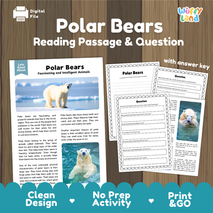 Polar Bears Reading Passage and Questions Worksheets with Answer Key