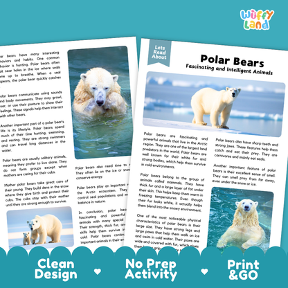 Polar Bears Reading Passage and Questions Worksheets with Answer Key