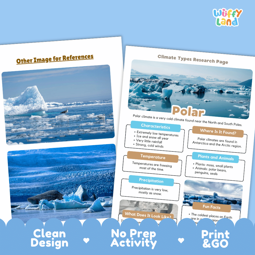 Polar Climate Types Research Page Worksheets Weather Science Activity