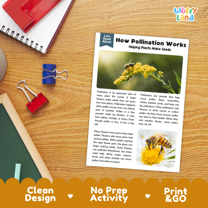 Printable student worksheet with short-answer reading comprehension questions covering pollination and plant science