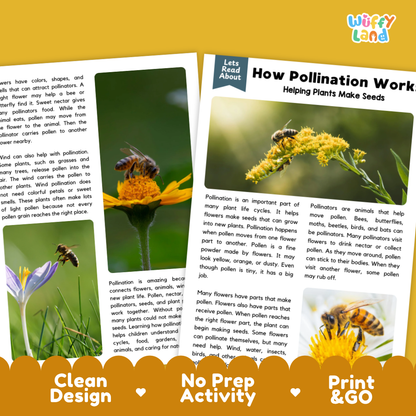Complete teacher answer key worksheet providing detailed model responses for pollination comprehension questions