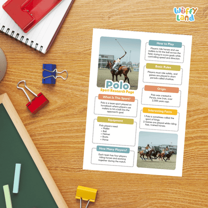 Polo Sport Research Project Worksheets and Fact Sheet