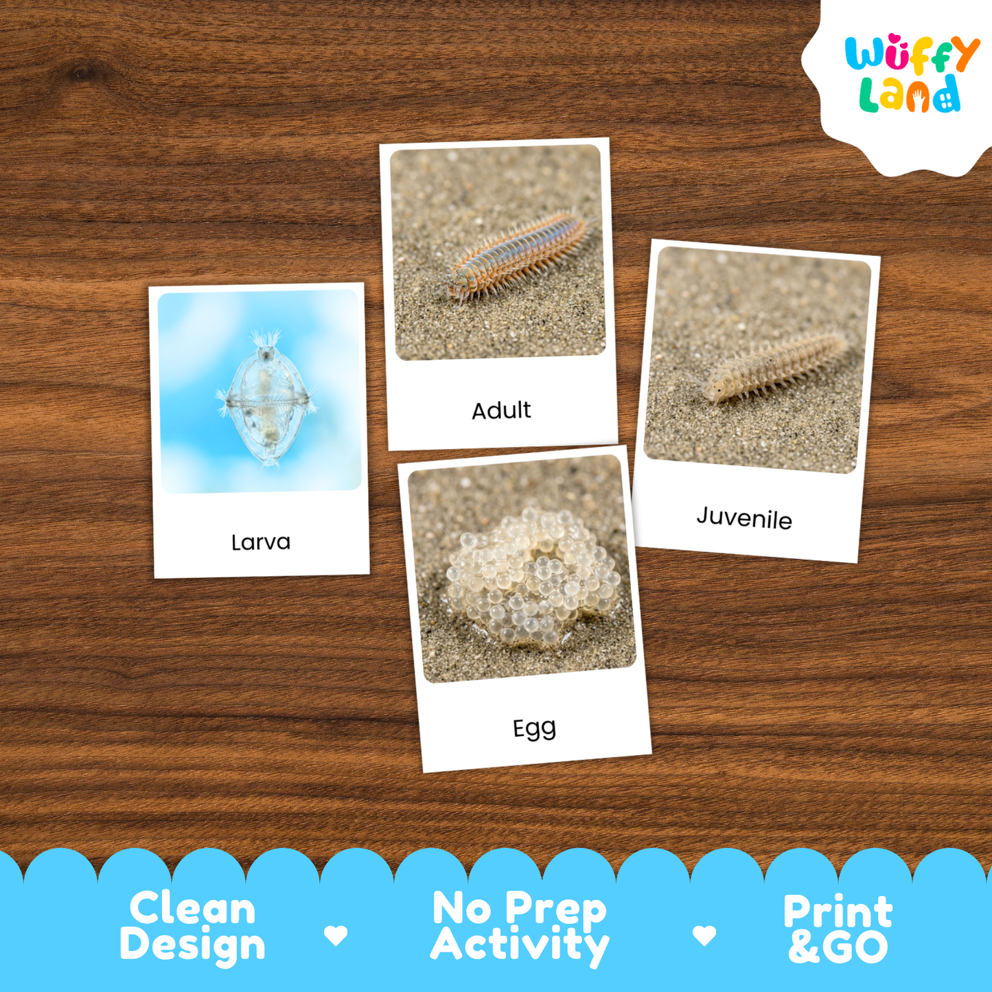 Four educational activity cards about a millipede life cycle (Larva, Adult, Juvenile, Egg) arranged on a brown wood-grain background. The cards feature labeled photos of the millipede stages.